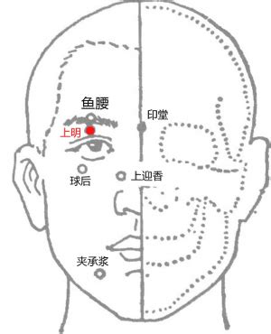 上明穴|醫砭 » 中華針灸 » 上明